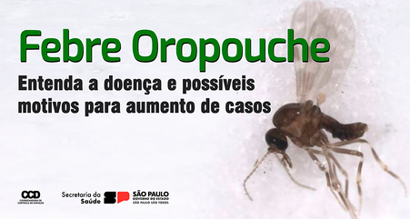 Febre Oropouche