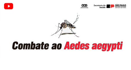 14/02/2024 – Combate a dengue.png